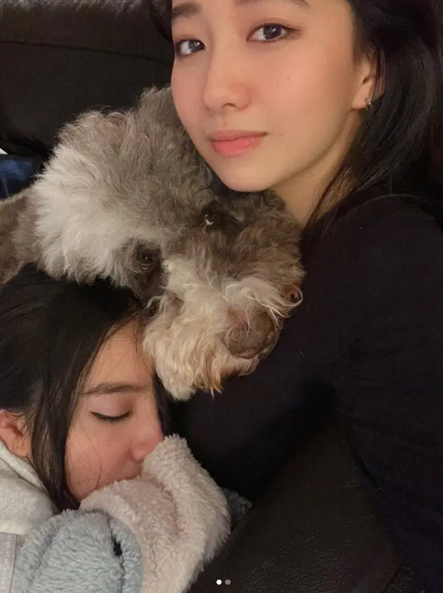 【画像・写真】Cocomi　Koki,と愛犬の“枕代わり”ショット公開に「いいね！」殺到