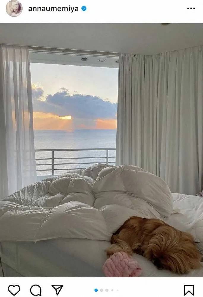 【画像・写真】梅宮アンナ　“真鶴の家”ベッドルームからの絶景を披露「朝日が綺麗」「絵画のよう」