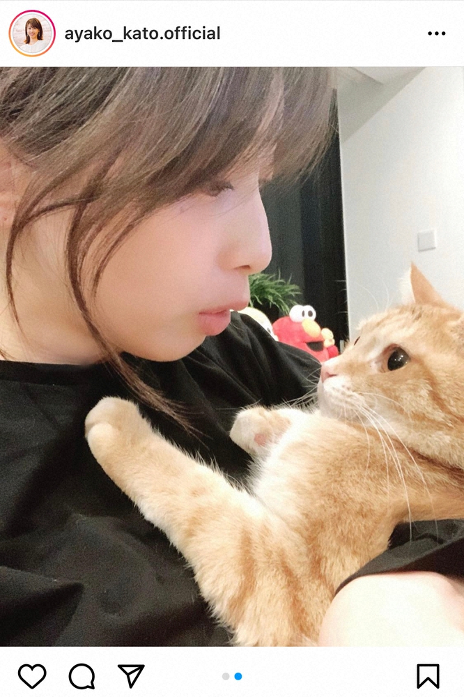 加藤綾子アナ 新しい家族を紹介させて下さい 愛くるしい2ショットに反響 可愛いの共演 スポニチ Sponichi Annex 芸能