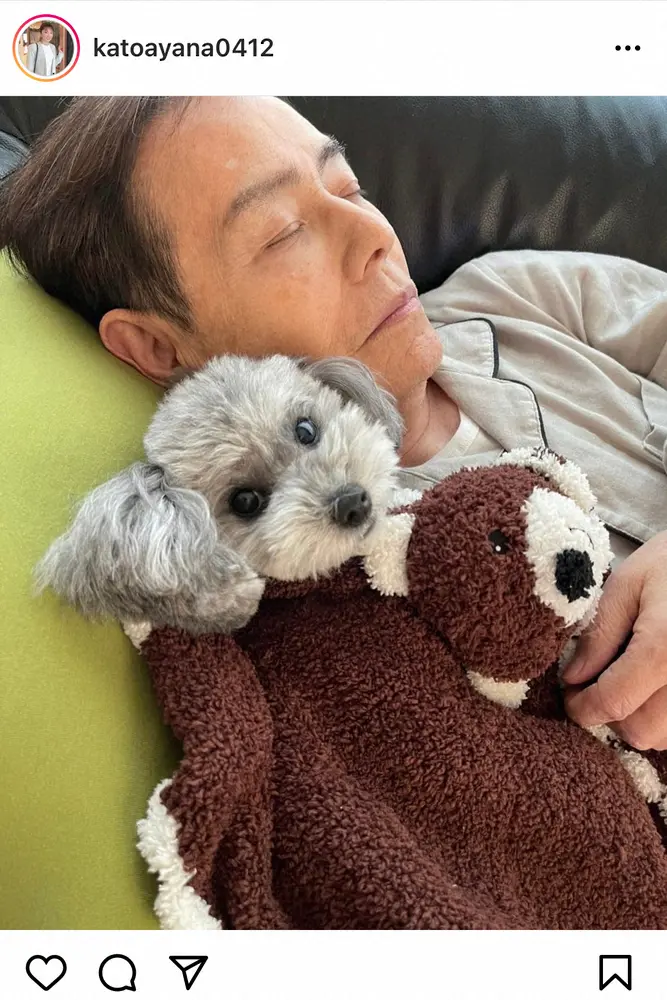 【画像・写真】加藤綾菜　「癒されるね」夫・加藤茶＆愛犬お昼寝ショット公開に「寝顔が綺麗」「かわいい」の声