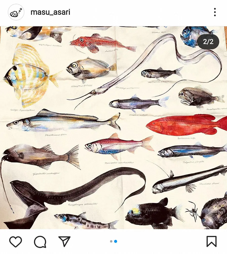 【画像・写真】3月で退社の桝アナ　徳島アナとの「しんみり」共演報告　贈られたハンカチの柄に「盛大にストライク」