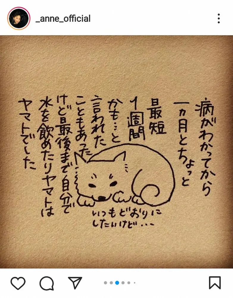 【画像・写真】杏　愛犬の柴犬との別れを告白　直筆のイラストとともに「ヤマトよ　ありがとう」「いつまでも、一緒だよ」