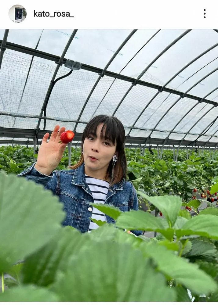 【画像・写真】加藤ローサ　春休みいちご狩りショットに「可愛すぎる」の声　「価値観の違い」夫・松井大輔の行動も明かす