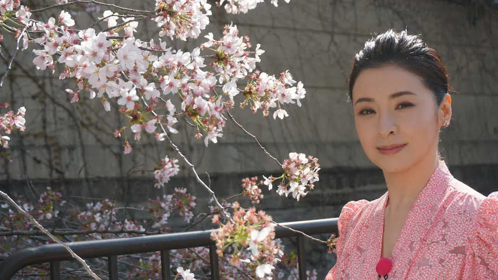 BS朝日「京都ぶらり歴史探訪」で桜の名所を巡った檀れい
