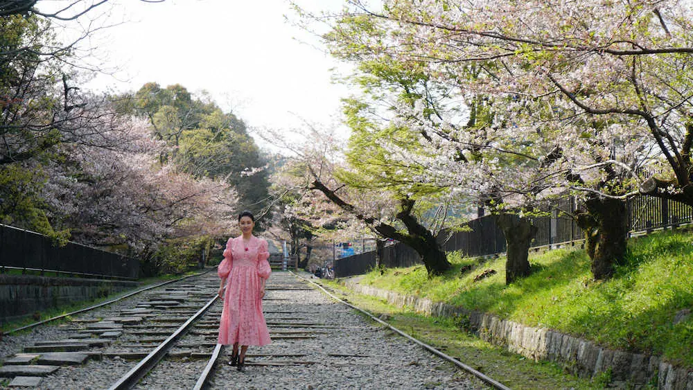 BS朝日「京都ぶらり歴史探訪」で桜の名所を巡った檀れい