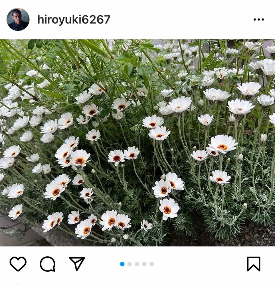 【画像・写真】渡辺裕之さん死去　最後のインスタ更新は2週間前　美しい草花の写真「今朝の美人達」　追悼コメントも続々