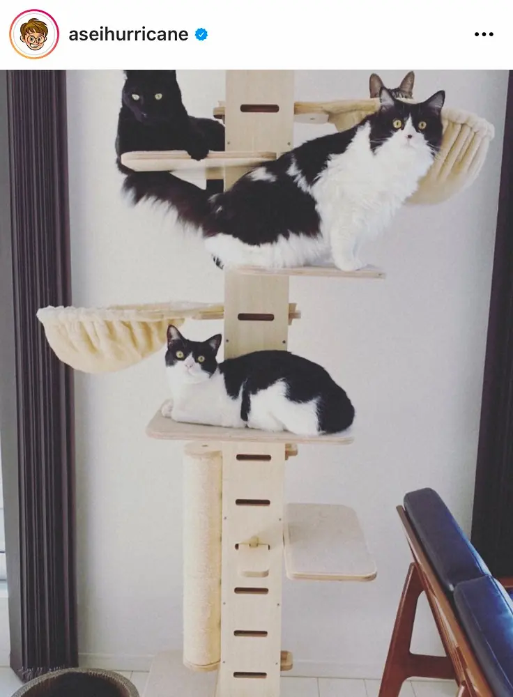 ミキ亜生公式インスタグラム Aseihurricane から スポニチ Sponichi Annex 芸能