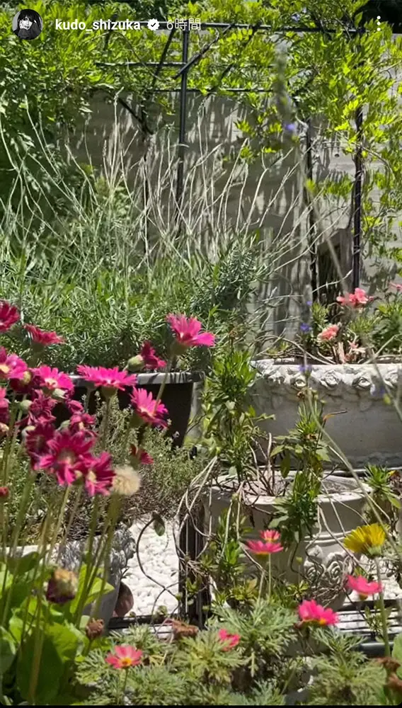 【画像・写真】工藤静香「本当においしい」Koki，の作った黒糖カフェラテ＆庭で収穫野菜＆フルーツ披露