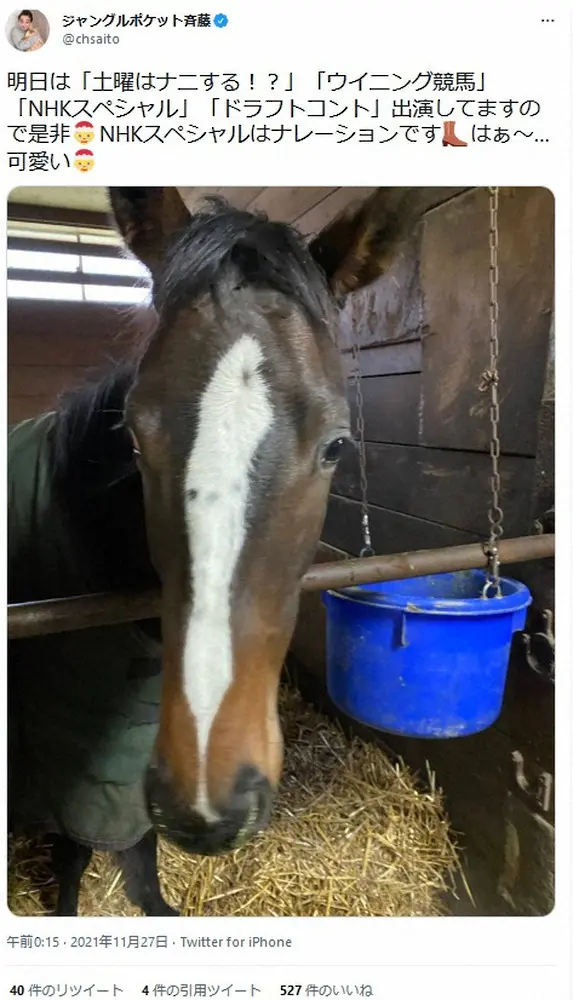 【画像・写真】ジャングルポケット斉藤慎二の公式ツイッター（@chsaito）より。愛馬のオマタセシマシタ。