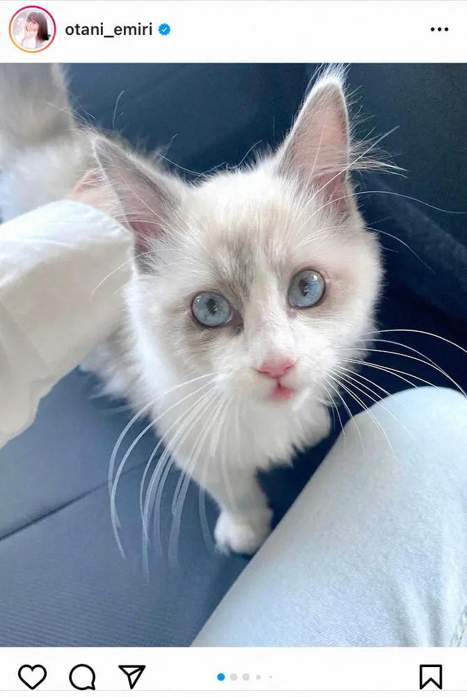 【画像・写真】イコラブ・大谷映美里　「家族が増えました」「守るものが増えて日々幸せ」　2ショットで報告