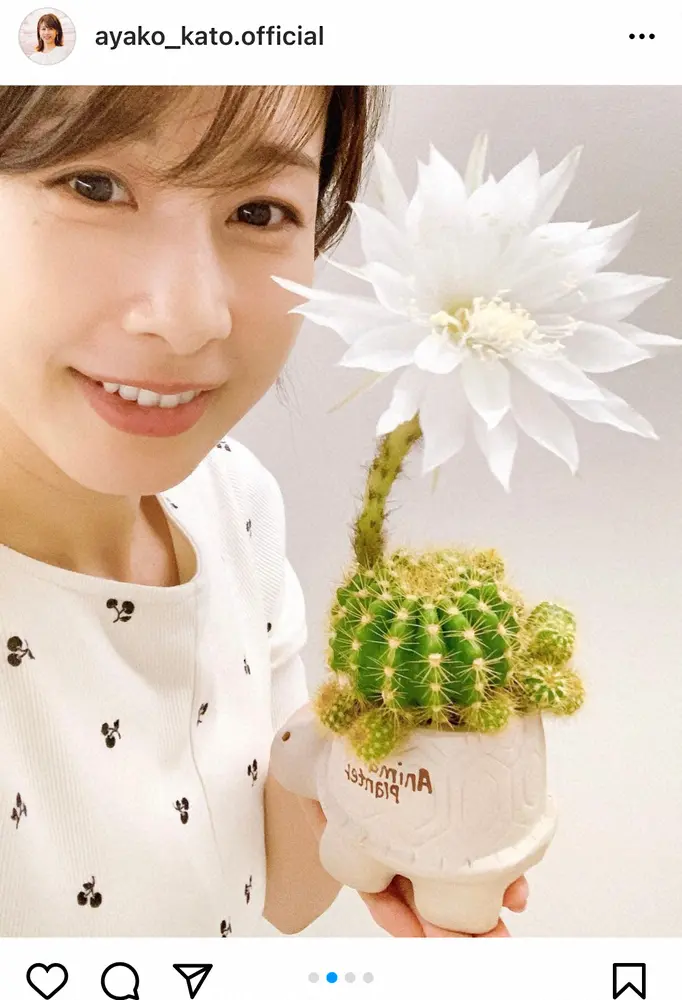 【画像・写真】加藤綾子　夏らしいノースリワンピの私服ショット公開　犬とほっこり　「ステキ」「見惚れる」の声