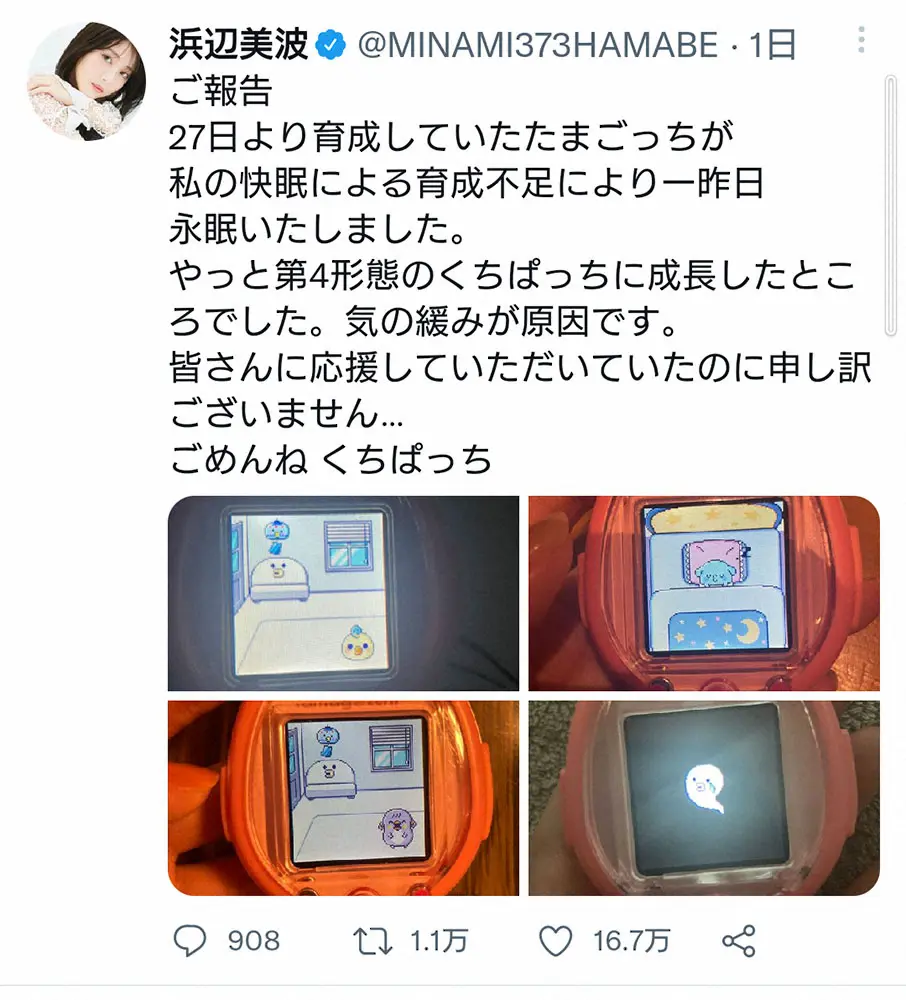 【画像・写真】浜辺美波　わずか4日で…悲しみの「ご報告」にファン「めちゃくちゃ辛いですよね」などの声