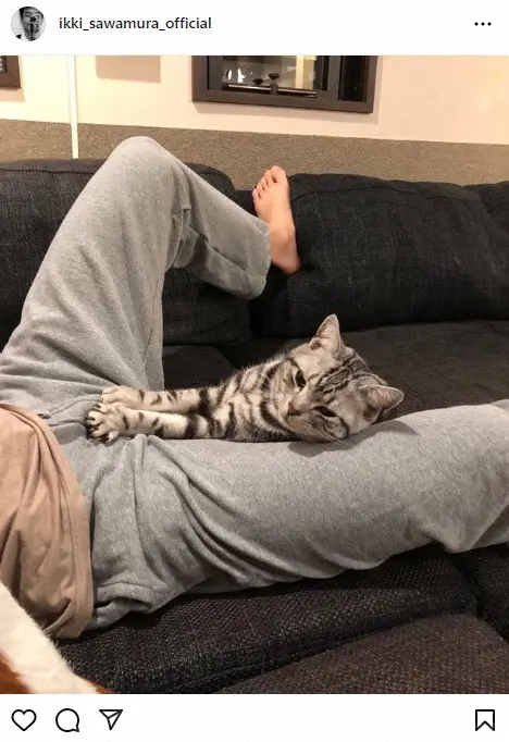 【画像・写真】沢村一樹　次男・野村康太の股間を猫が…！「襲っているのか…守っているのか…」　フォロワー爆笑