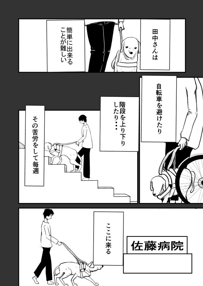 【画像・写真】盲導犬 ロキ