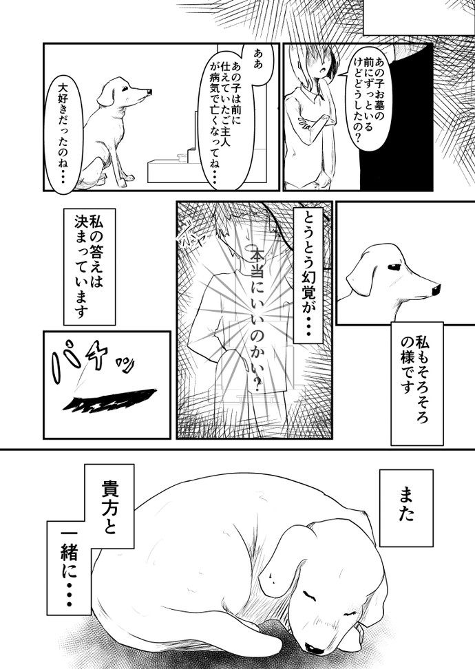 【画像・写真】盲導犬 ロキ