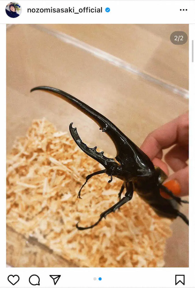 【画像・写真】佐々木希「家族になりました！！」　ビックリ！新加入の“ビッグ”な一員に、ファンも「かっこええ」