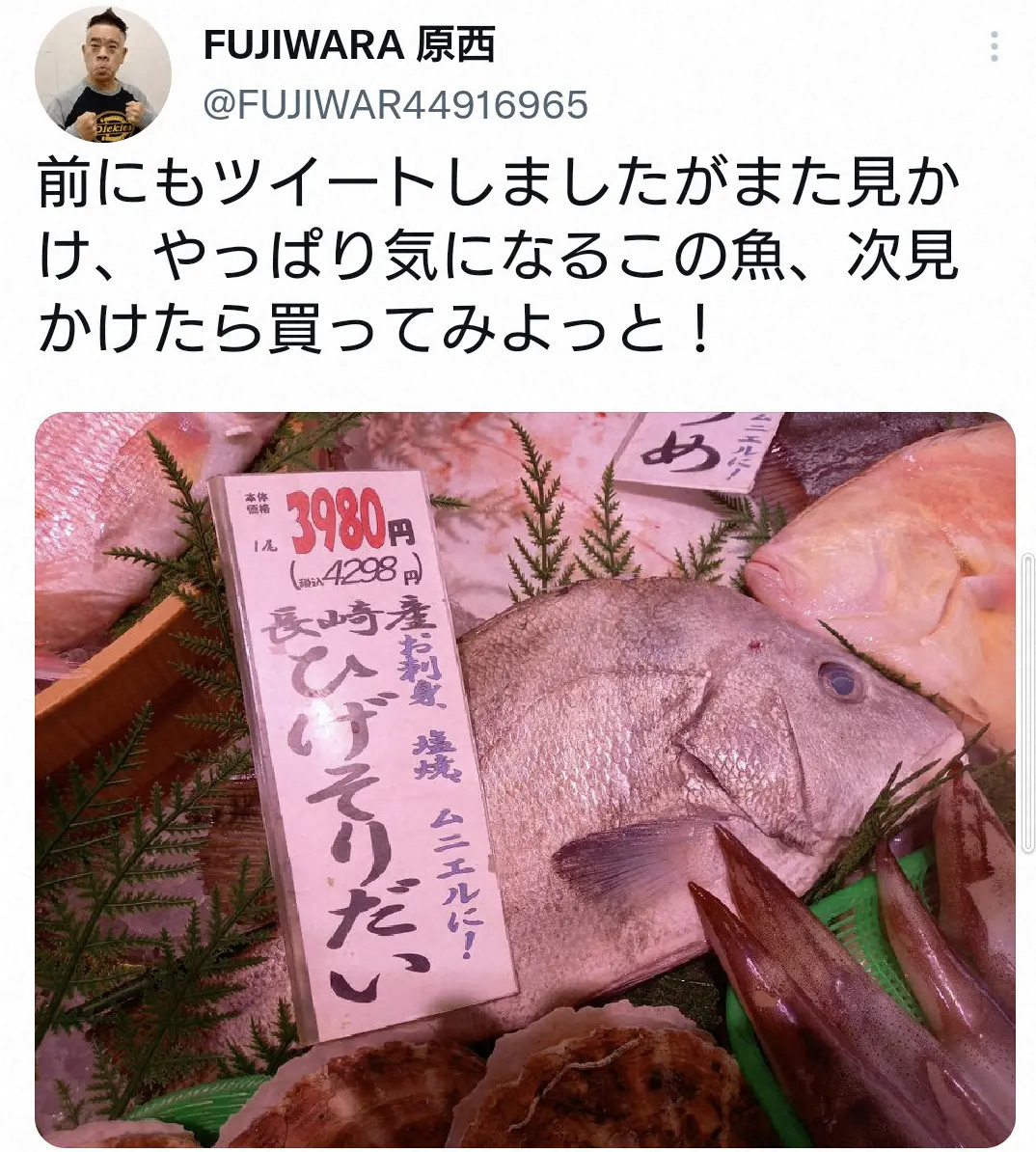 【画像・写真】FUJIWARA・原西　謎の魚に再会　「次見かけたら買ってみよっと！」