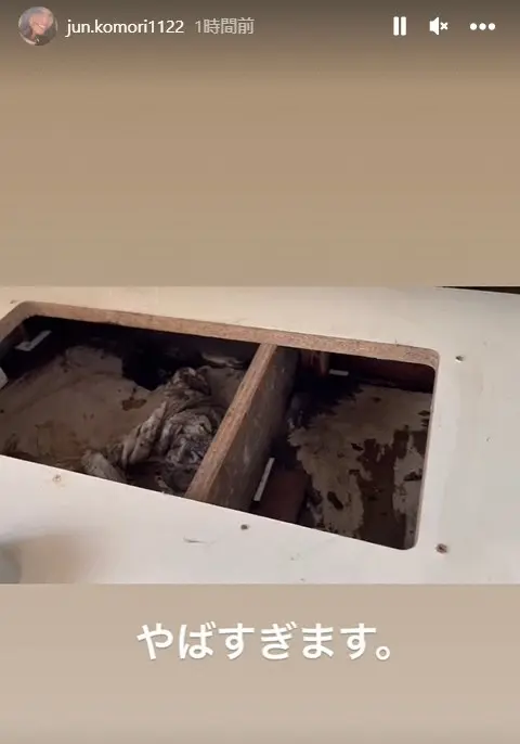 【画像・写真】小森純「産後1週間でこれはキツイ」自宅が欠陥住宅だった　虫が湧き発覚「大手ハウスメーカーなのに」