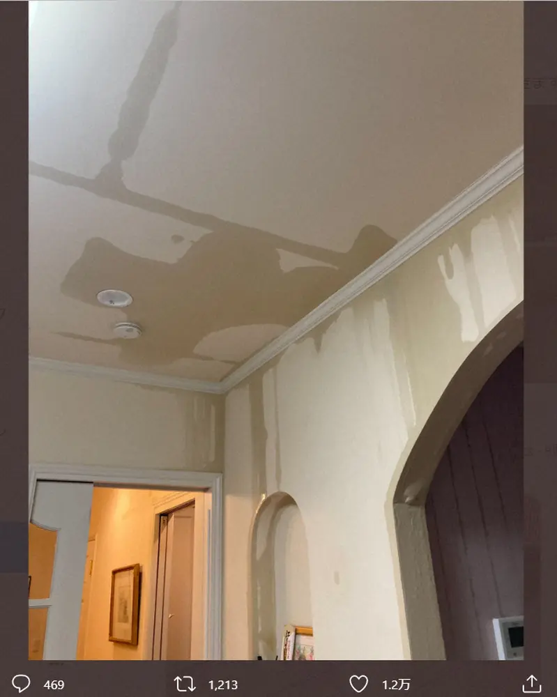 【画像・写真】中川翔子、自宅が水浸しで“廃墟”となったその後「今度は天井がはがれ落ちてきました」