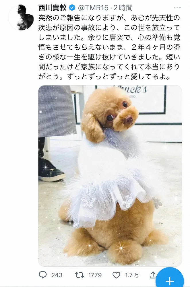 【画像・写真】西川貴教　愛犬の死を報告　「先天性の疾患が原因の事故」「2年4ヶ月の瞬きの様な一生」