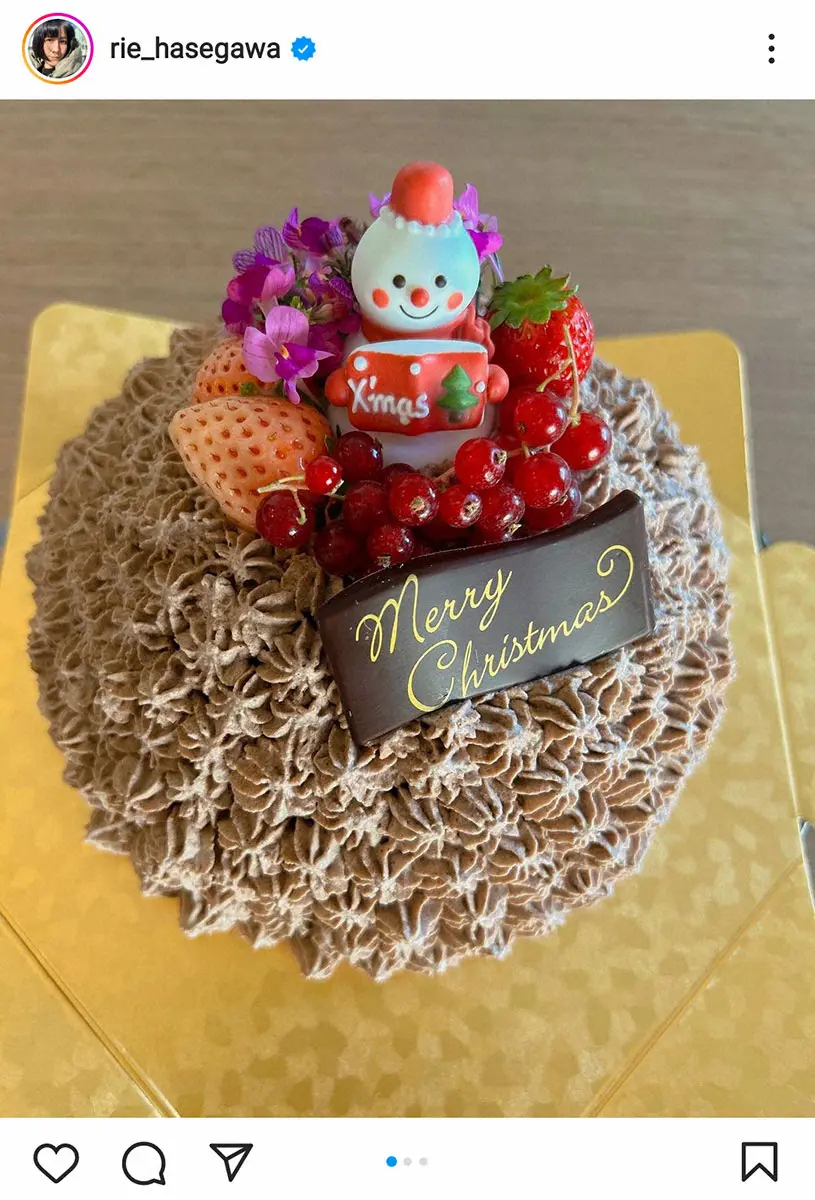 【画像・写真】長谷川理恵「まだまだveganしか」　長男のための手作りクリスマスケーキに絶賛の声「プロですね」