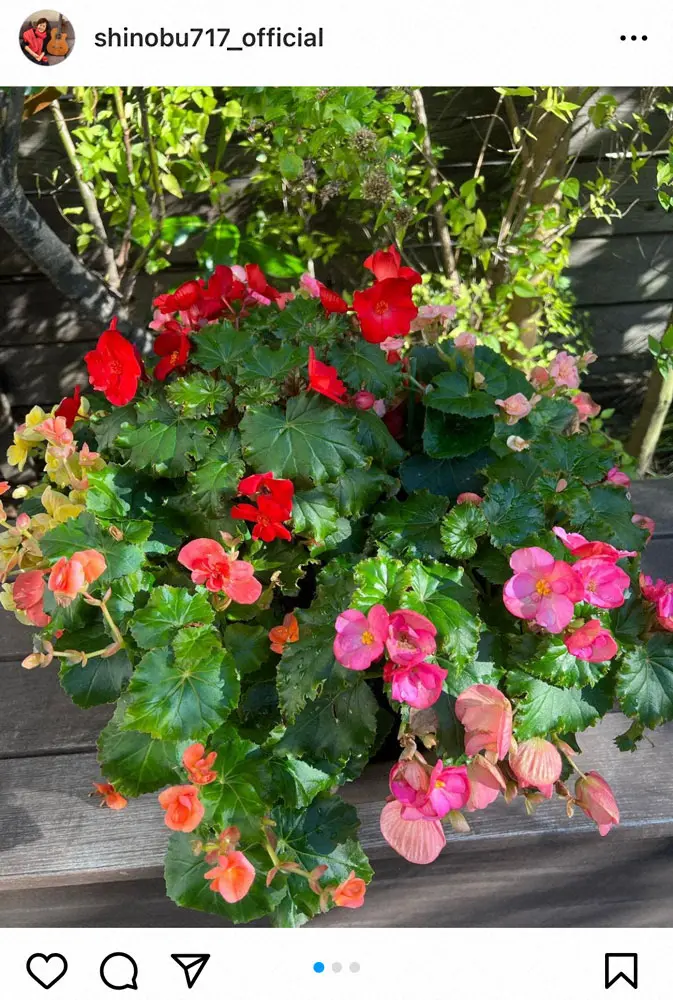 【画像・写真】大竹しのぶ　中居正広の復帰喜ぶ「金スマに帰ってきた」スタジオは拍手で出迎え、収録の様子明かす