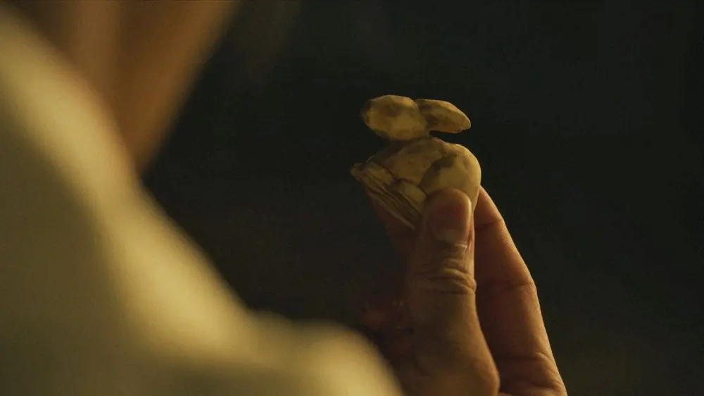 【画像・写真】「どうする家康」闇落ち氏真にネット戦慄「ゲス」「たすけては氏真」瀬名“血のSOS”→元康“血の覚醒”