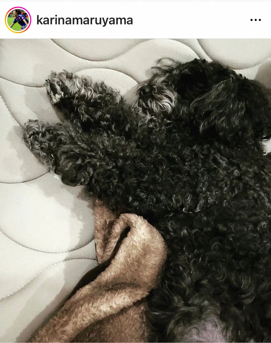 【画像・写真】丸山桂里奈　体調不良の愛犬の看病で徹夜報告「わんこはやはり話せないから…」　今月中に第1子出産予定
