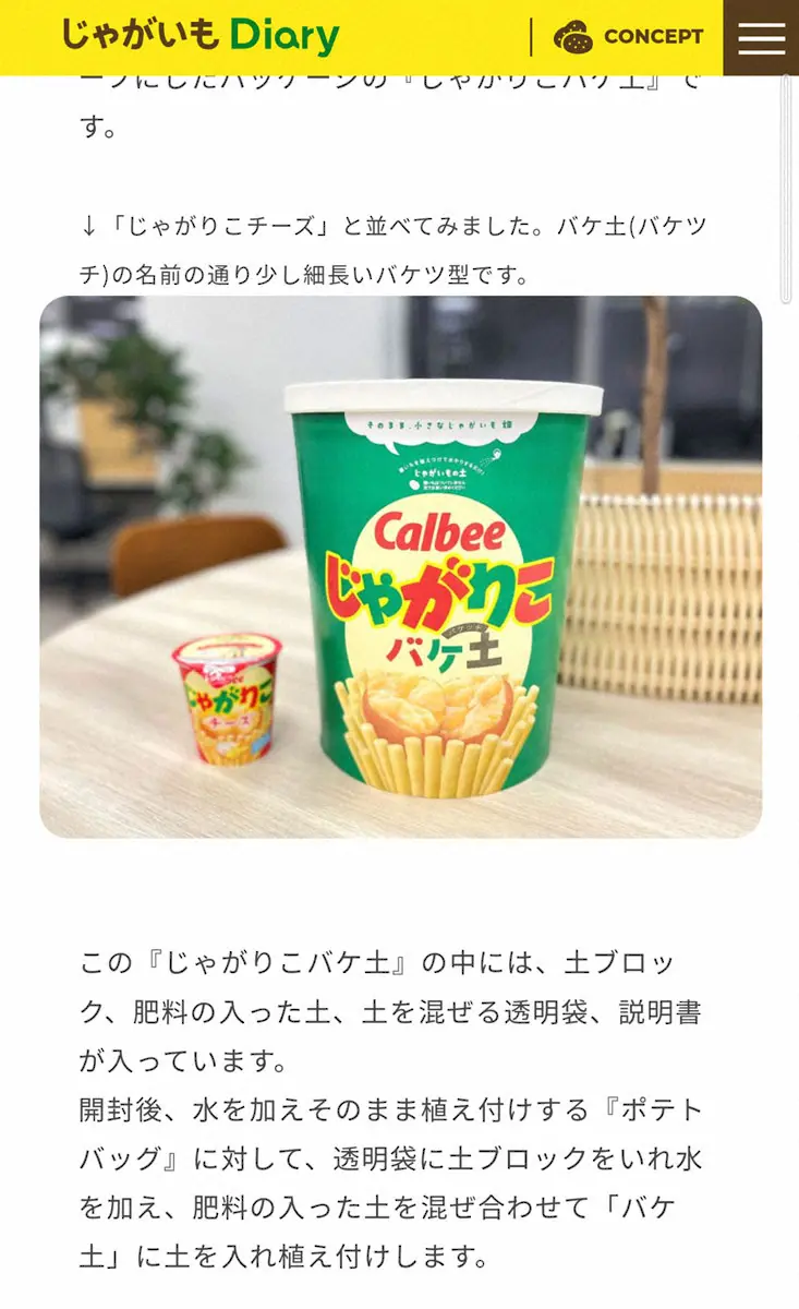 【画像・写真】工藤静香　長女Cocomiの勘違い明かす「あ!!じゃがりこ!!と張り切って開けて、チーン」