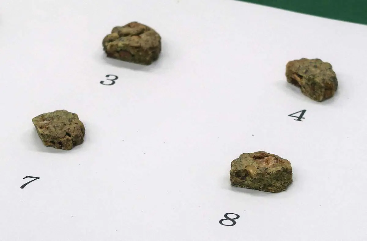 【画像・写真】東国原英夫氏　占い師が“大麻クッキー”を客に提供疑いに「食べて、その度にハイになって…」参加者に言及