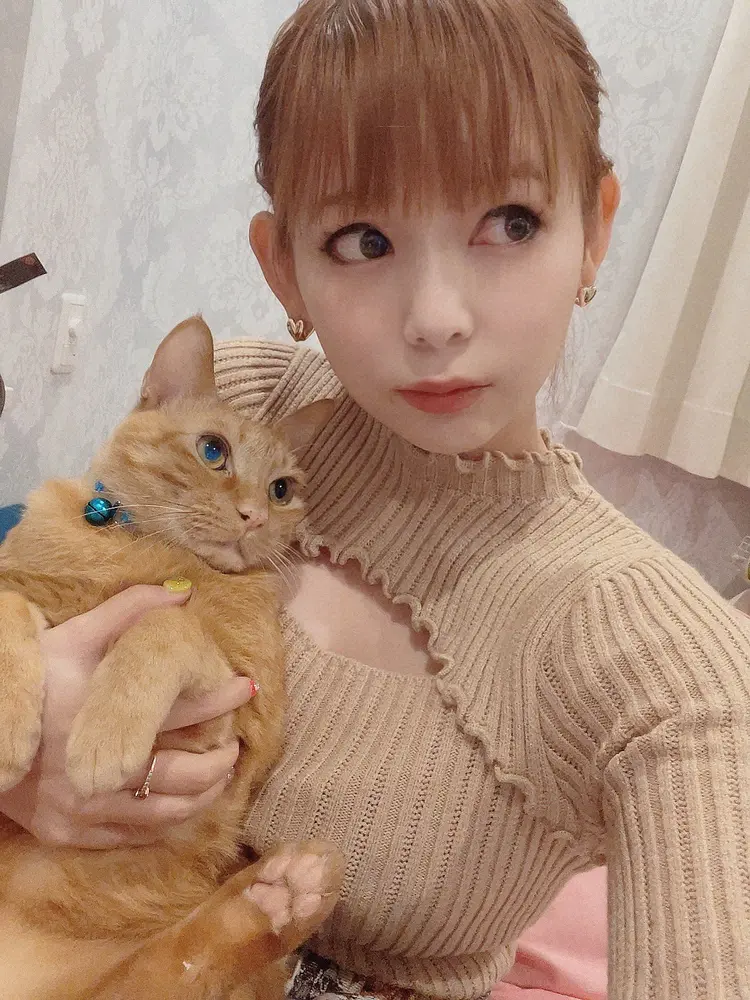 【画像・写真】中川翔子　猫の日に猫愛爆発「相思相愛！息子であり運命の相手」　シンクロエピも明かす