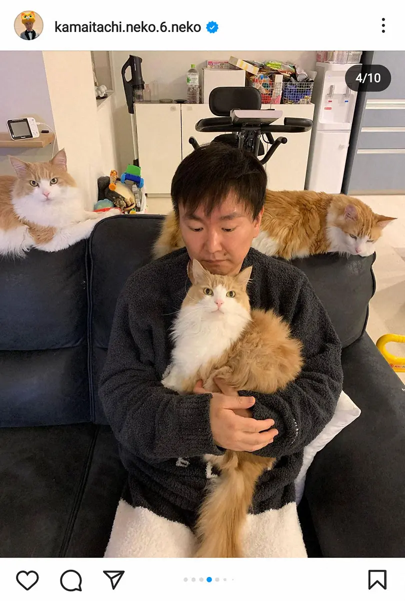 【画像・写真】かまいたち・山内健司が悲しみの報告　愛猫2匹が相次いで天国へ「ふたりとも同じ急性腎不全でした」