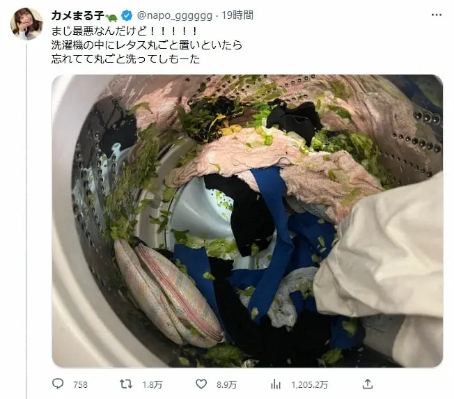 【画像・写真】人気YouTuberが衝撃報告!なぜか洗濯機の中にレタスを放置…「忘れてて丸ごと洗ってしもーた」