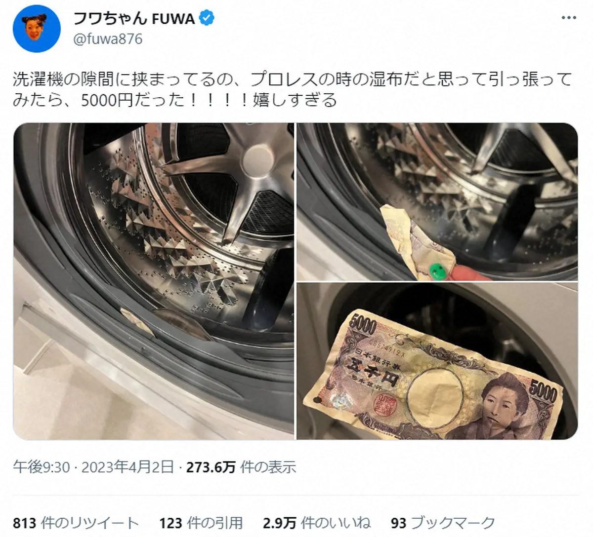 【画像・写真】フワちゃん　洗濯機のすき間からなんとアレが！「なぜそんな隙間に」「レベルが違うな…」と驚きの声　