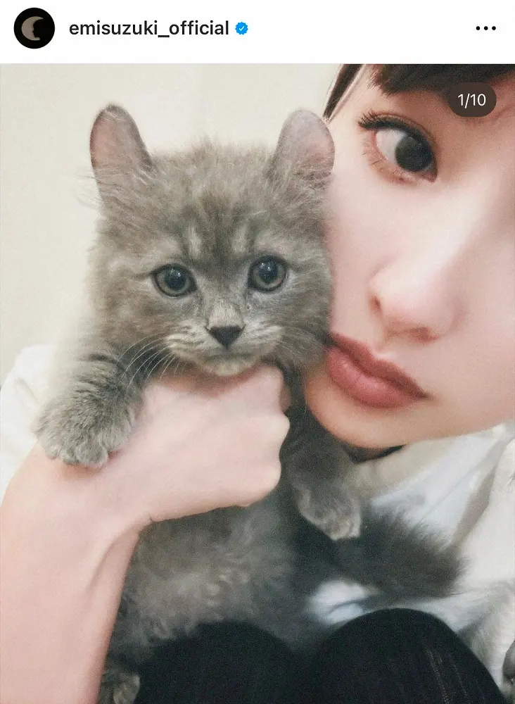 【画像・写真】鈴木えみ「増やすつもりはなかったのに…」新たな家族を報告　「ハートを撃ち抜かれた」