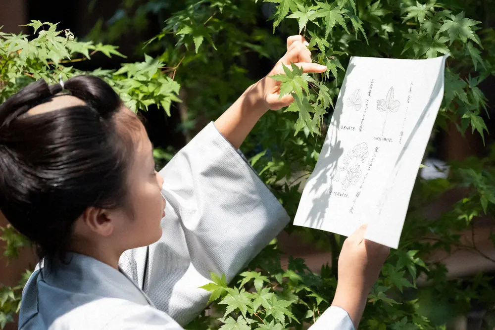 【画像・写真】【明日4月14日のらんまん】第9、10話を連続放送　小学校が開校、万太郎は思いもよらない決断をする