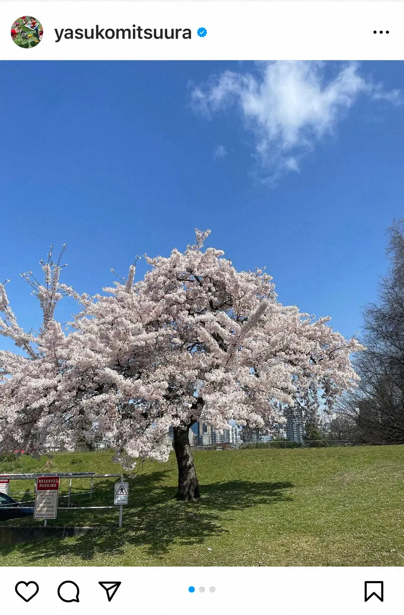 【画像・写真】光浦靖子　「怖い！逃げた」カナダでのお花見で文化の違い痛感「だから誰も桜の下でお寿司を食べないんだ」