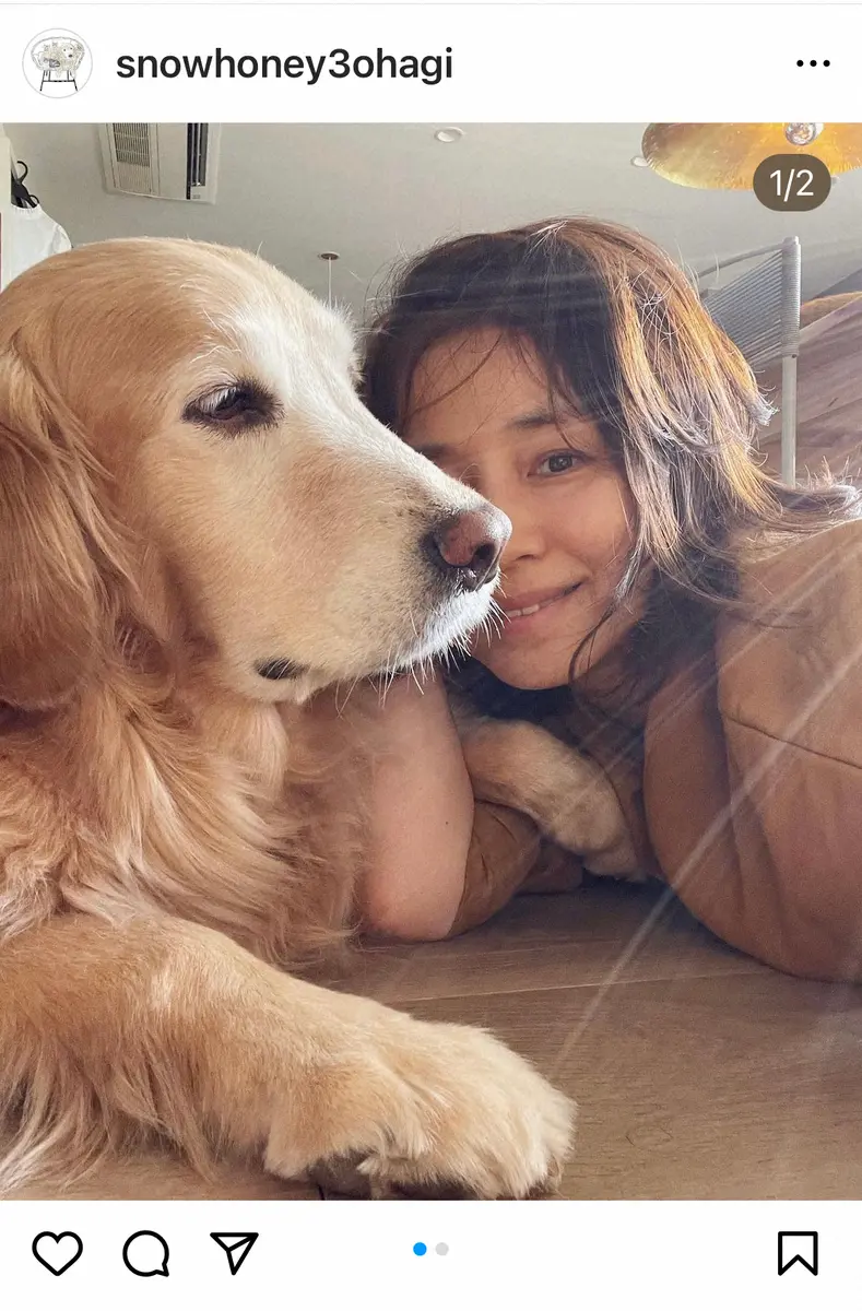 【画像・写真】石田ゆり子　愛犬が行方不明！？帰宅時の大騒動を告白「血の気が引きました」「何もかも私のミス」