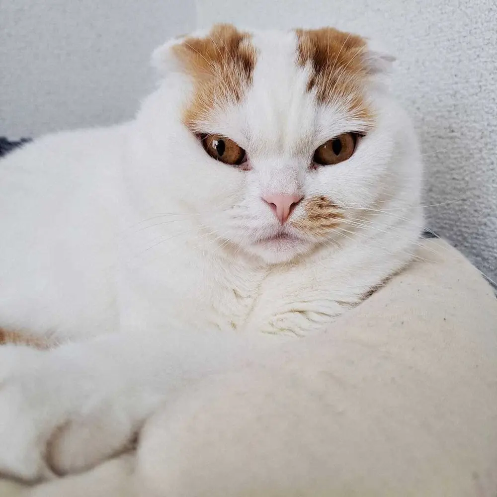 【画像・写真】人生は愛したもん勝ちや!　aikoさんの生き方から学んだ「極意」