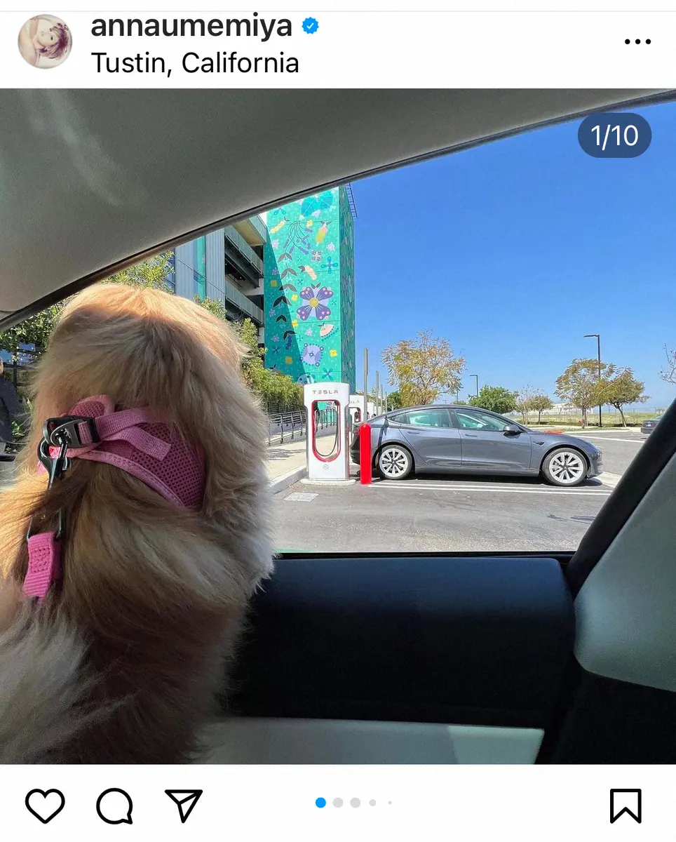 【画像・写真】梅宮アンナ　滞在先の米国で一番感動したもの「なんて素晴らしい法律でいい国なんでしょう」