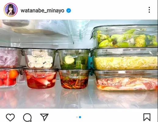 【画像・写真】渡辺美奈代　ミョウガ、タマネギ、春巻き…作り置きの品々を公開に「10品も、凄い」「レシピ教えて」