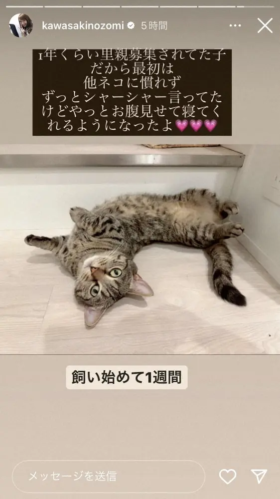 【画像・写真】川崎希＆アレク夫妻“ご報告”「家族が増えました!」ファン祝福「あらかわいい」「気品がある」