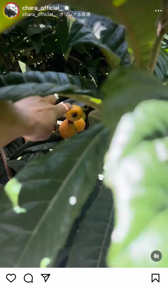 【画像・写真】CHARA　本名明かす「別に隠してない」　芸名由来も「チャラチャラしてるからチャラじゃないんだぜー」