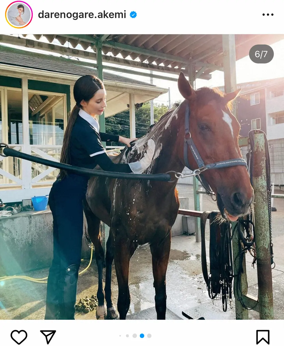 【画像・写真】ダレノガレ明美　愛馬との別れを報告「6時間一緒に過ごし安らかに眠りにつきました」「最高のバーディー」