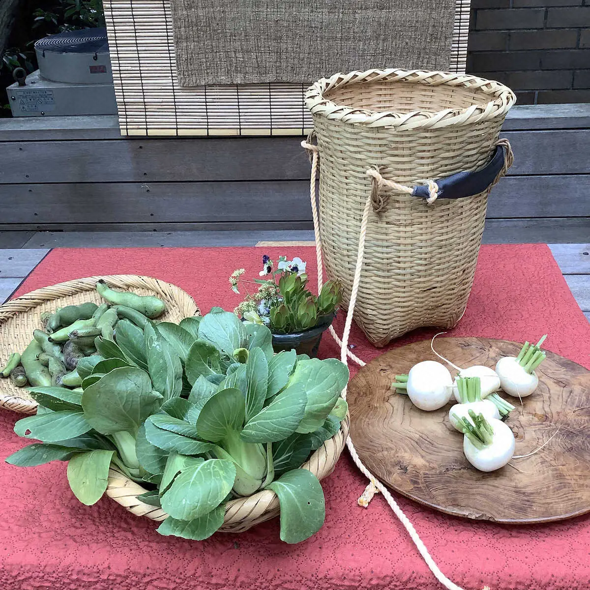 【画像・写真】伊武雅刀　実り多き畑仕事、太陽の光を浴びて新鮮な気持ちに　「劇的に心身ともに豊かになった」