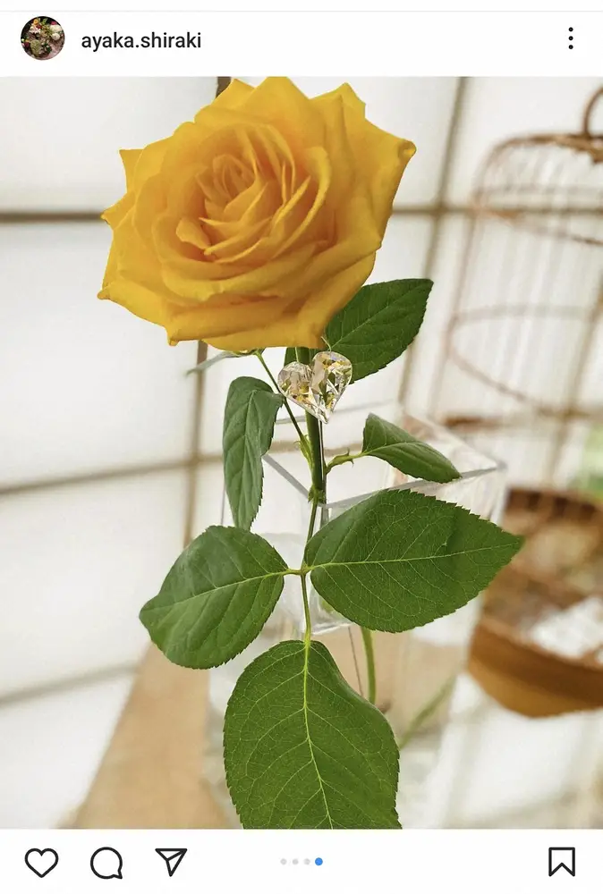 【画像・写真】白城あやか　夫・中山秀征の56歳誕生日を報告し夫婦ショット披露　「素敵なデート」の声