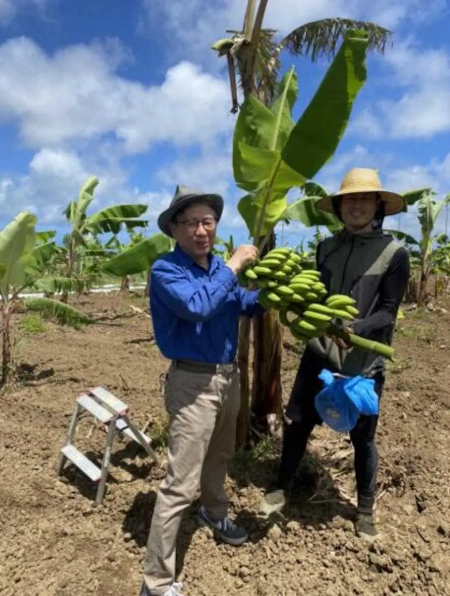 【画像・写真】8・7はバナナの日　お天気キャスター森田さん「島バナナ」応援呼びかける