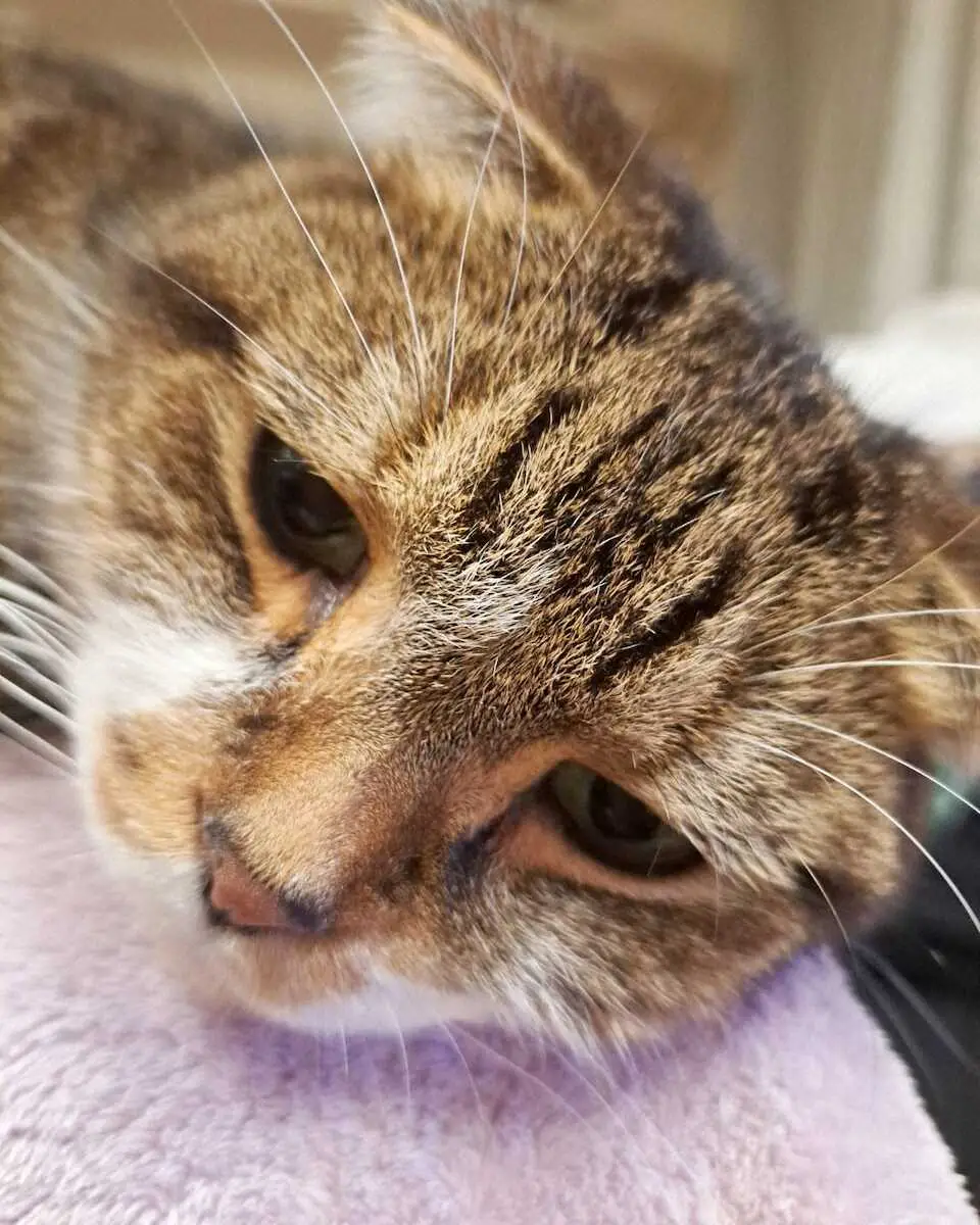 【画像・写真】谷口キヨコ　「一人でできる趣味」「みんなでやる趣味」どちらも自分の大切な残り時間…人生満喫しましょ！