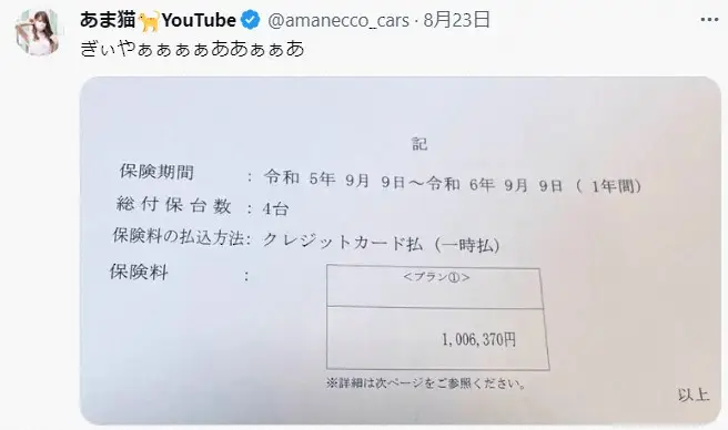 【画像・写真】高級車4台所有の美女OL、自動車保険の更新に「悲鳴」　4台で衝撃の金額「そろそろ破産でしょ…」