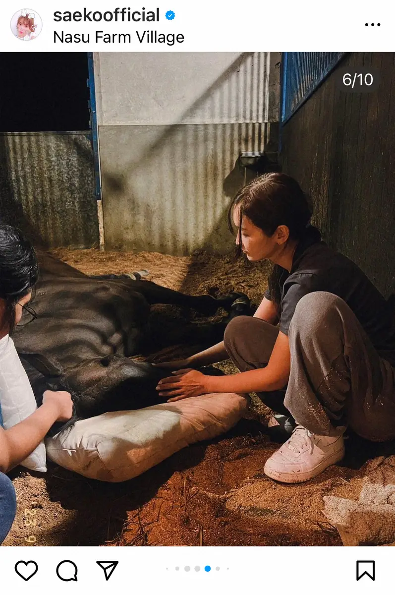 【画像・写真】紗栄子　「ジェニオのたてがみをファームに埋葬」と報告　生前の姿にフォロワー「泣ける」「幸せだったと」